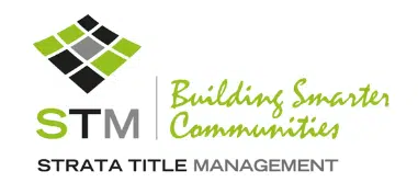 STM Logo